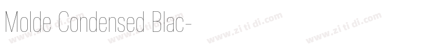 Molde Condensed Blac字体转换